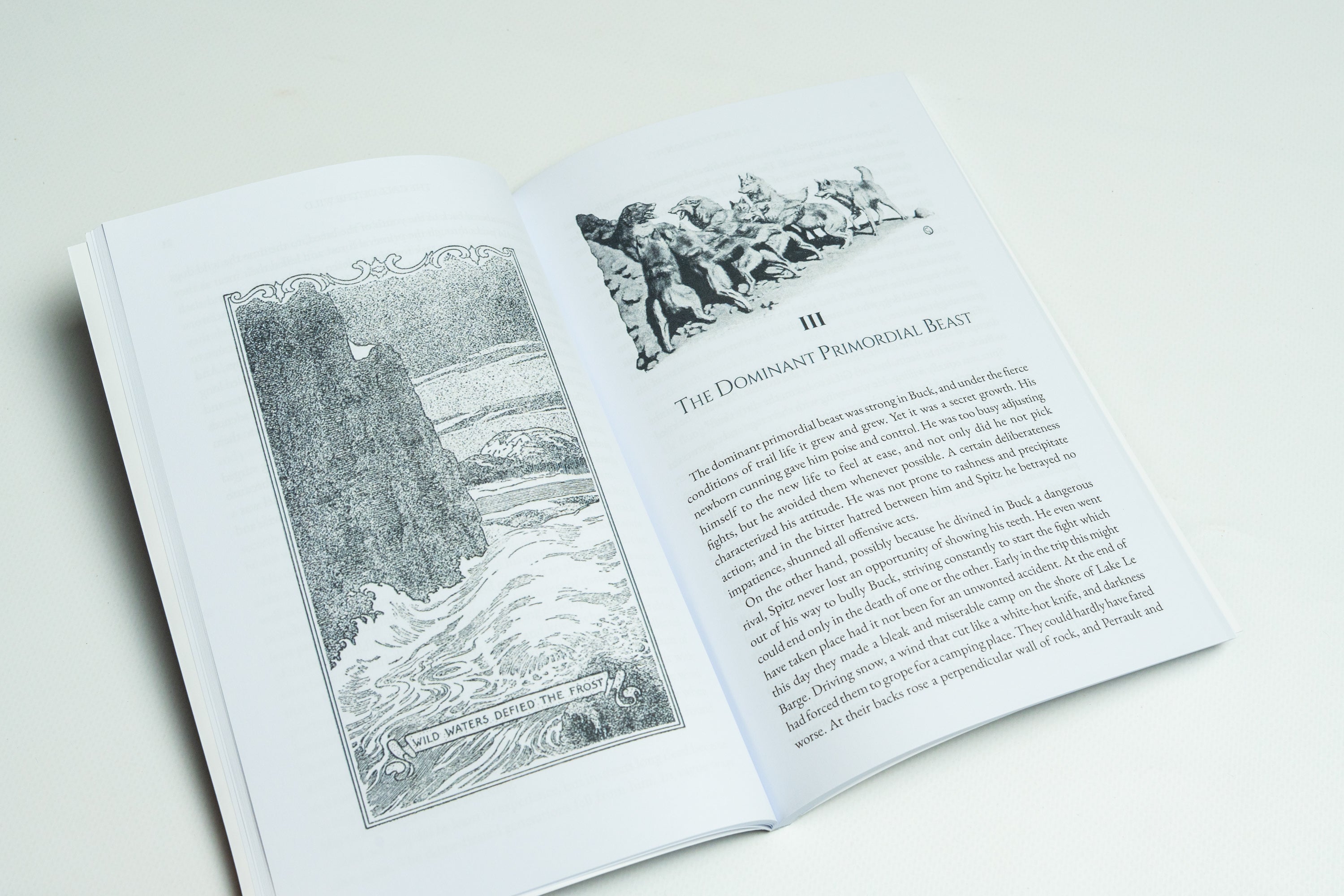 Jack London's Wilderness Tales