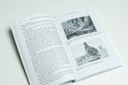The Burgess Bird Book for Children