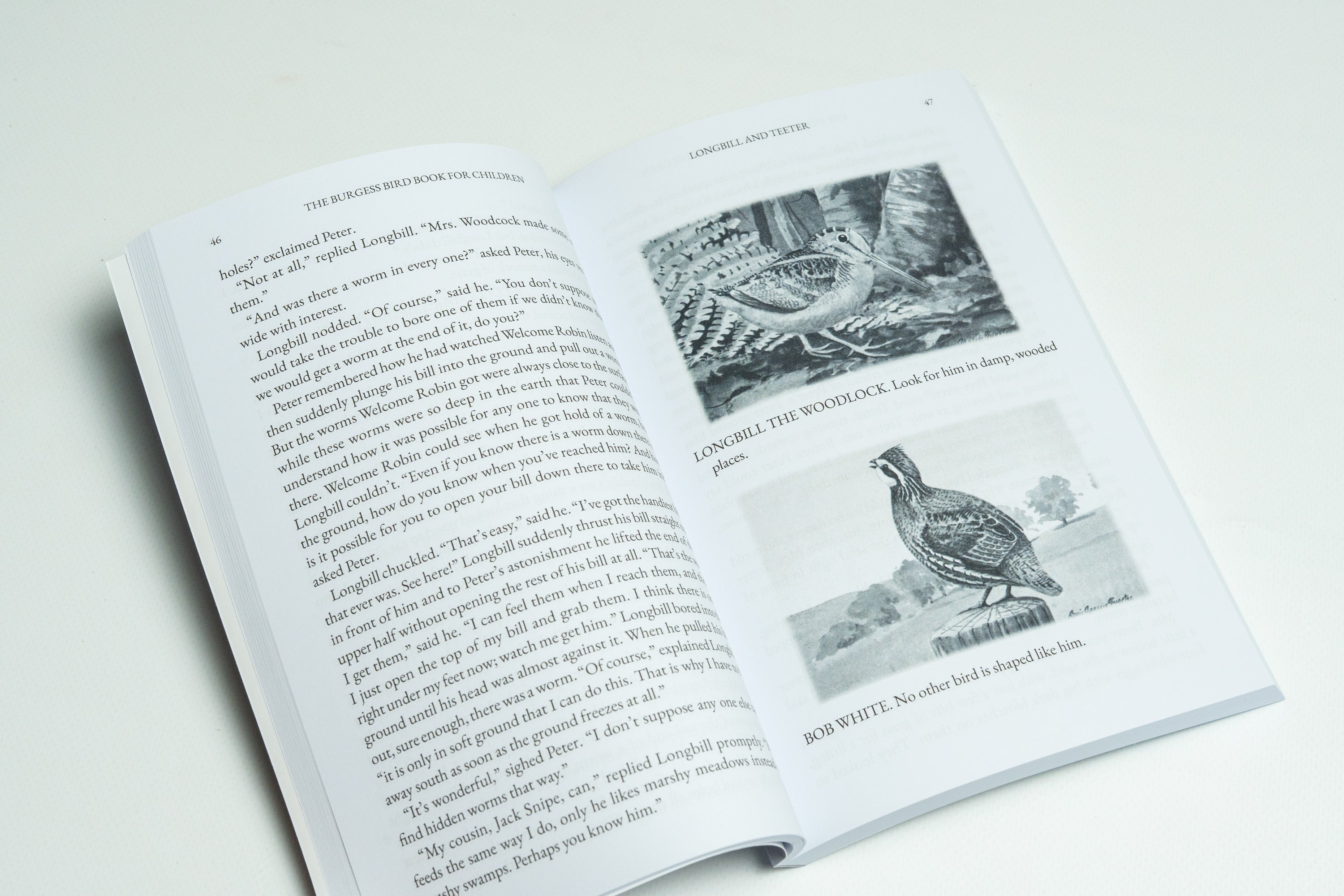 The Burgess Bird Book for Children