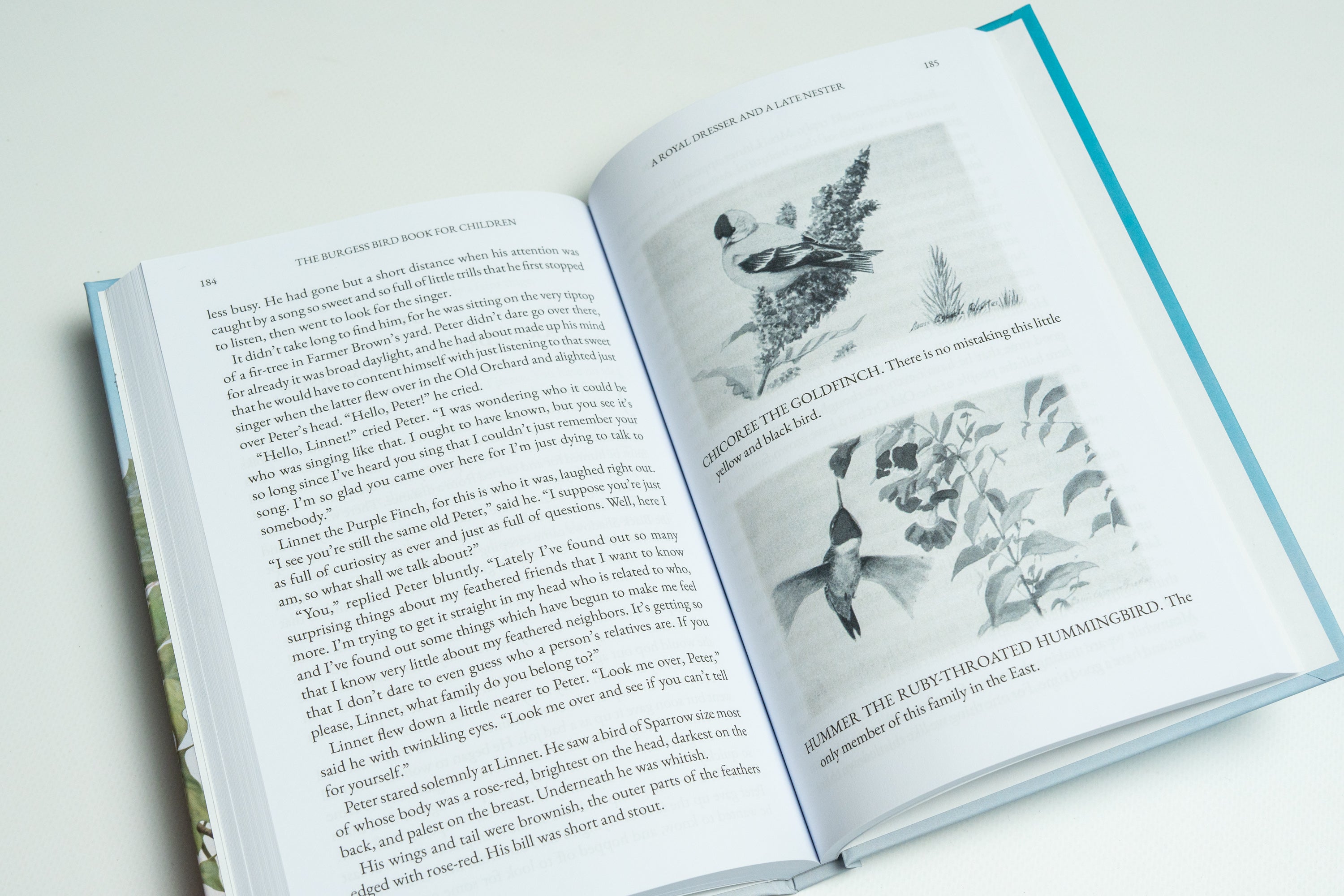 The Burgess Bird Book for Children