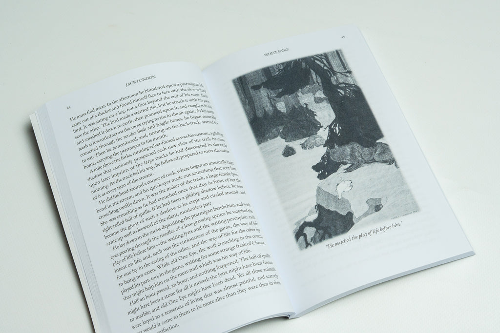Jack London's Wilderness Tales