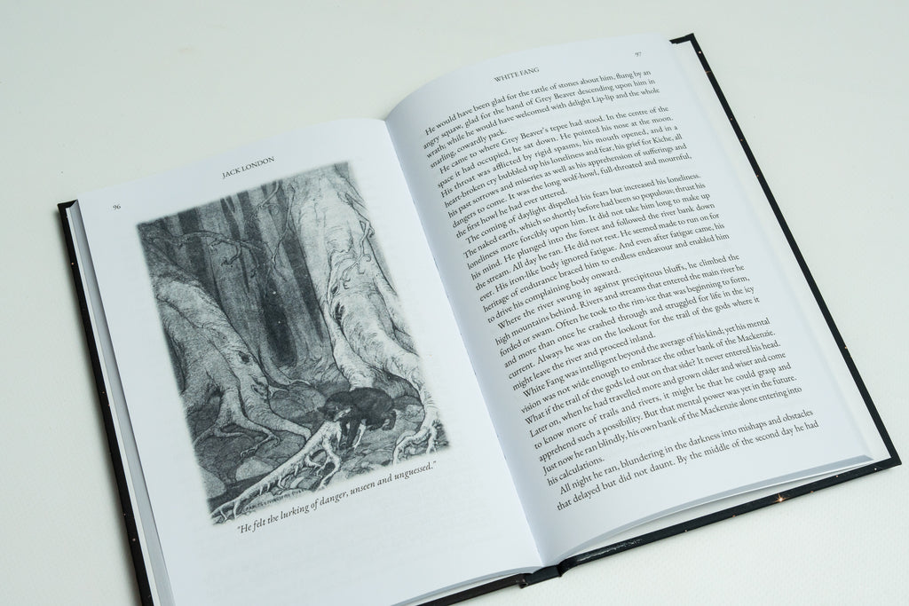 Jack London's Wilderness Tales