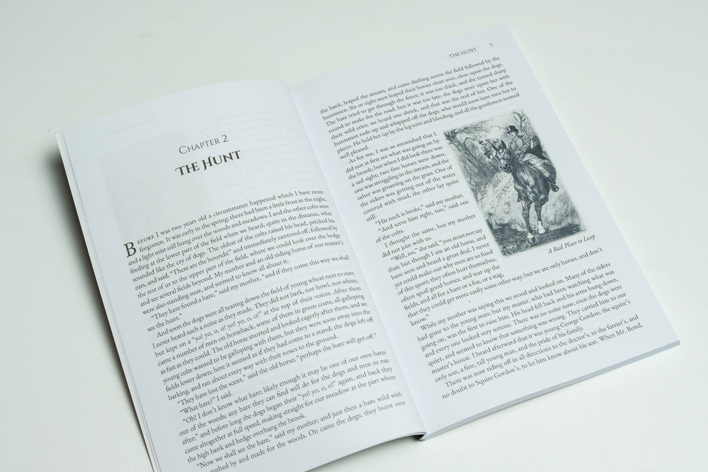Beloved Animal Tales Collection