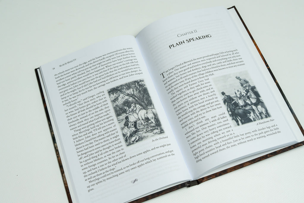 Beloved Animal Tales Collection