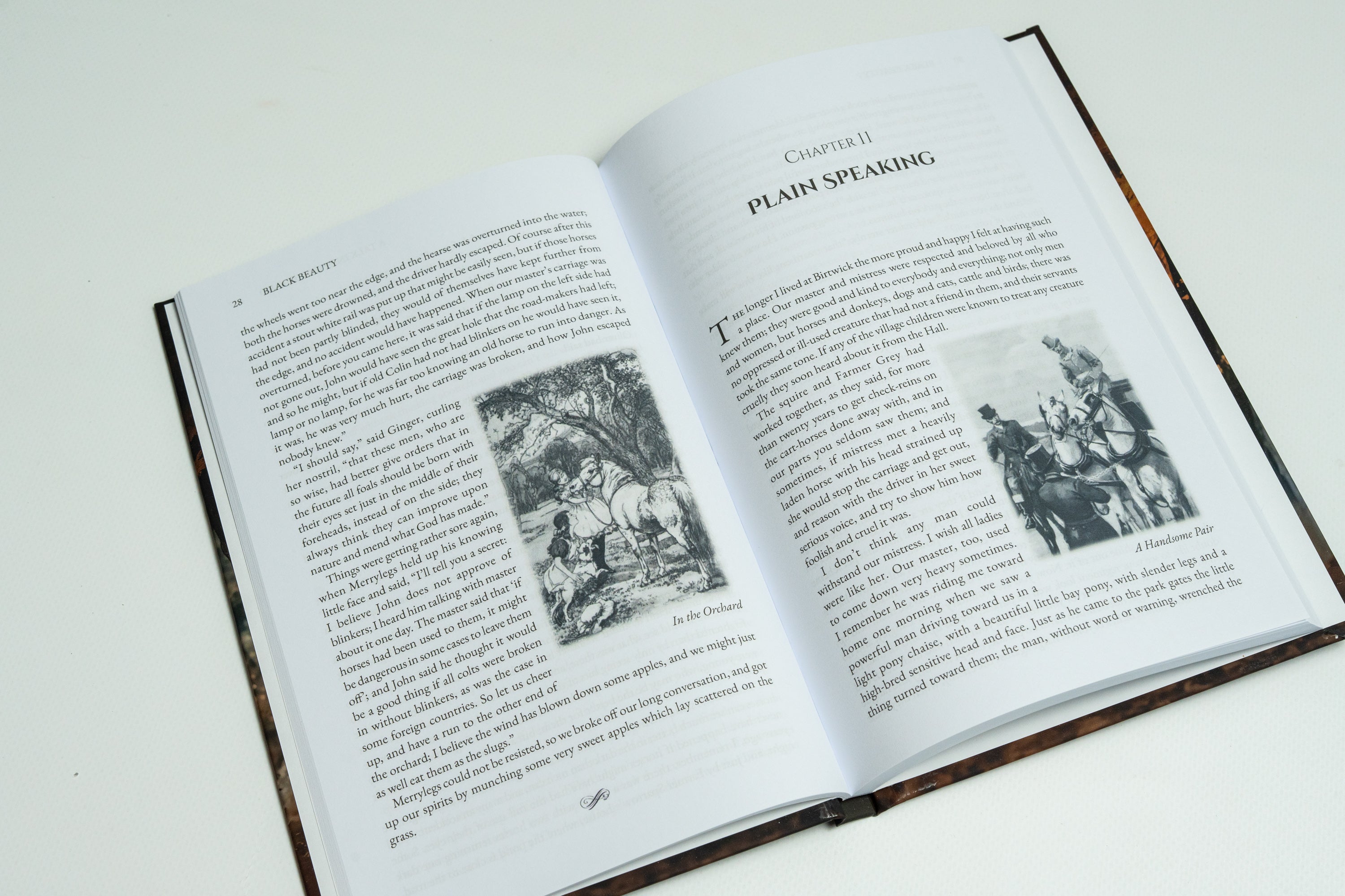 Beloved Animal Tales Collection