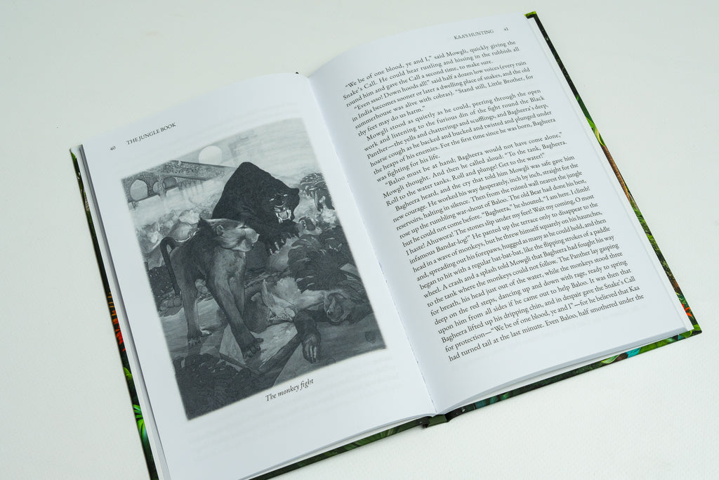 Beloved Animal Tales Collection
