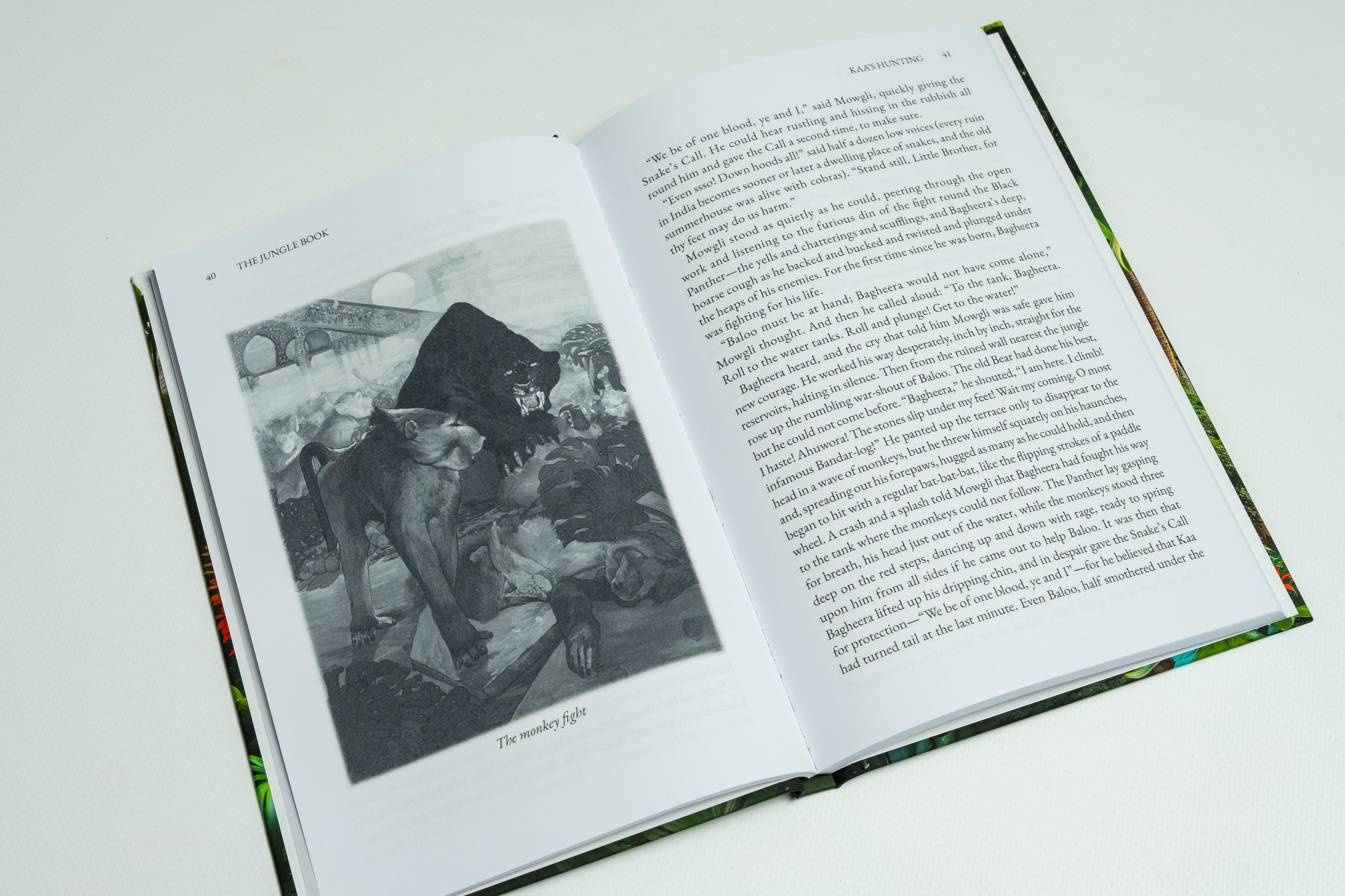 Beloved Animal Tales Collection