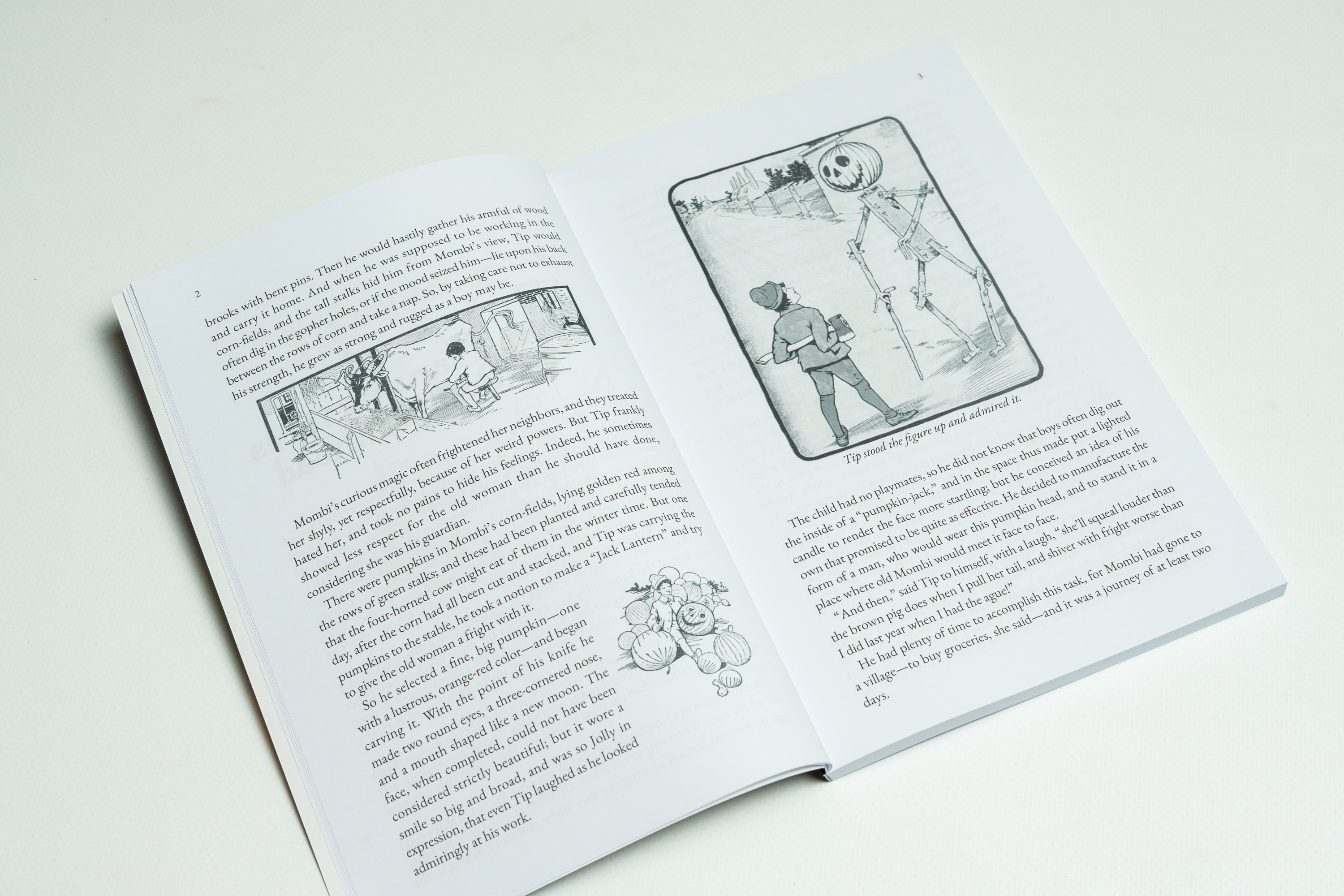 The Marvelous Land of Oz