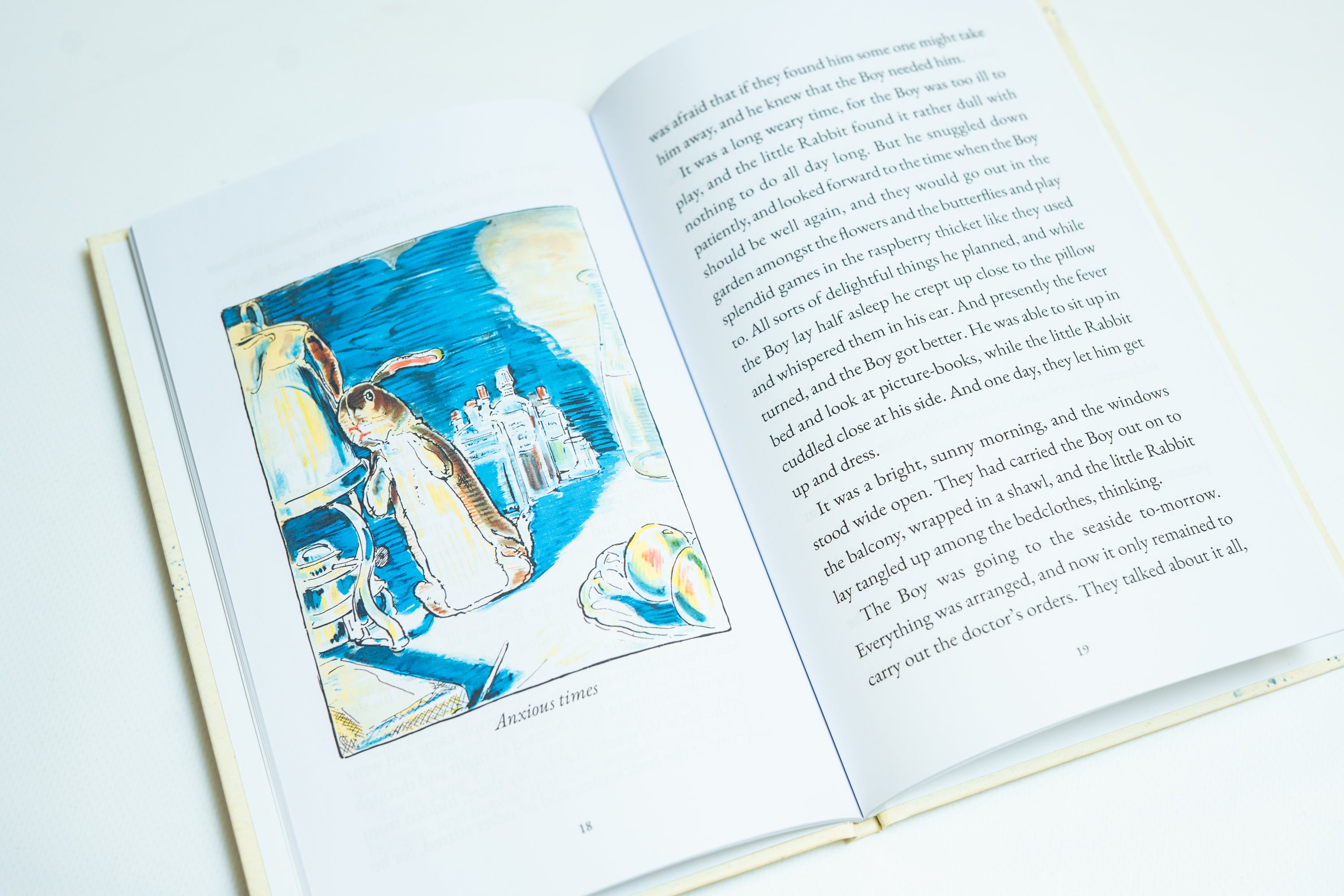 The Velveteen Rabbit